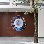 Health Care Projects